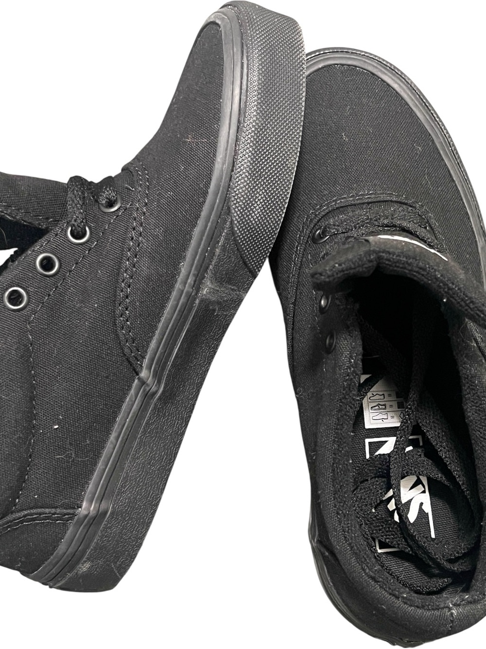 Vans Men’s Black Canvas Low-Top Skate Sneakers